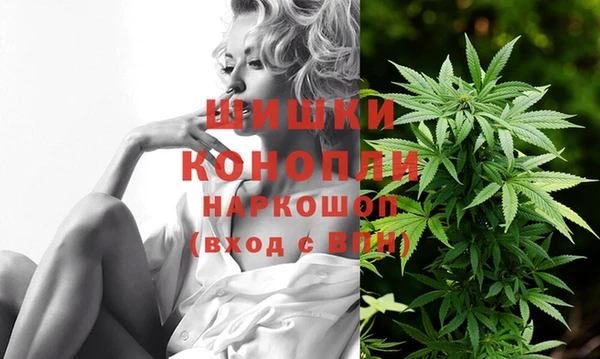 дмт Арсеньев