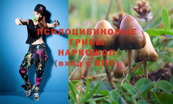 гидра Аркадак