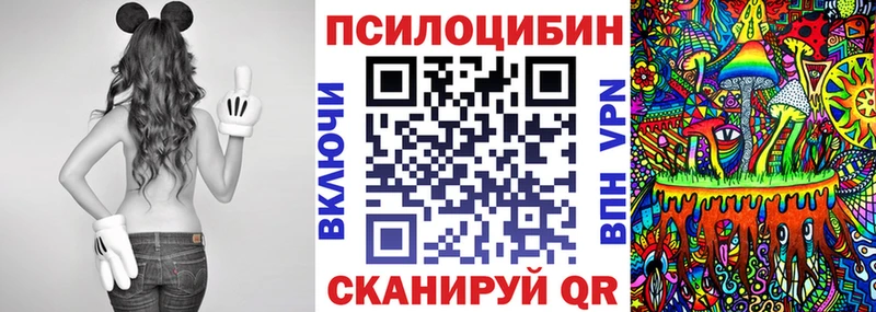 Псилоцибиновые грибы Psilocybe  гидра ссылки  Джанкой 