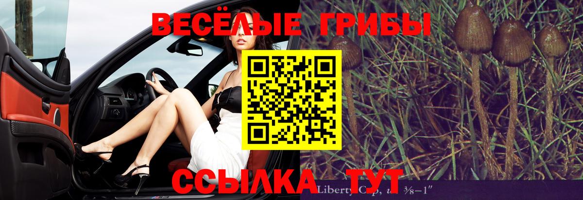 Псилоцибиновые грибы Magic Shrooms  Вход с VPN  Джанкой 